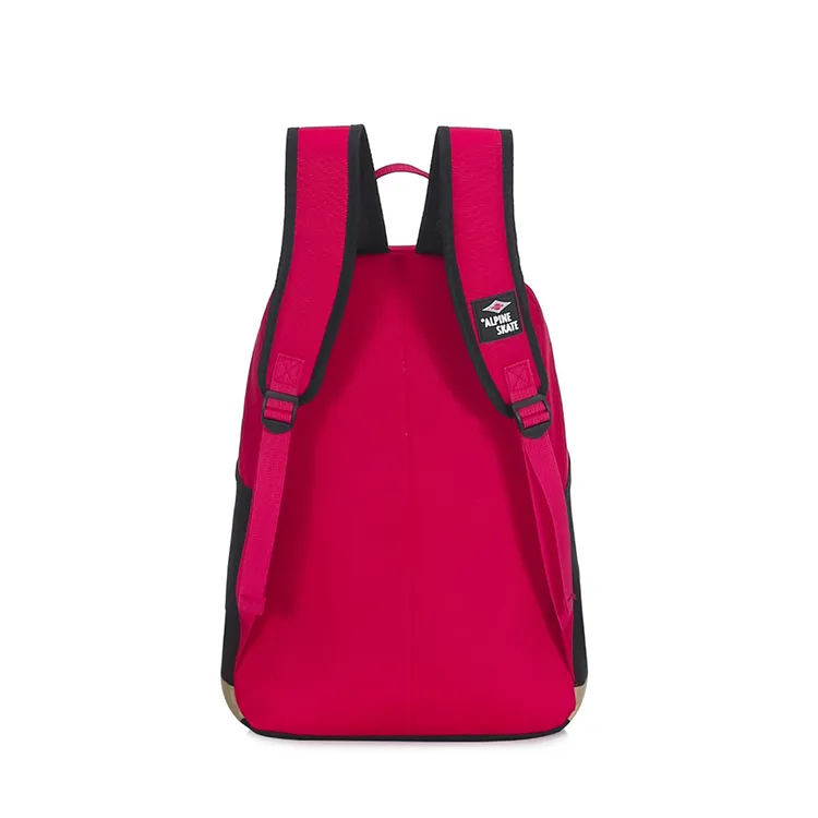 Mochila Alpine Skate 16490 - Imagen 4