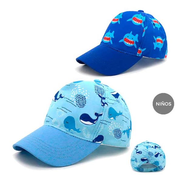 Gorra Trendy 14841