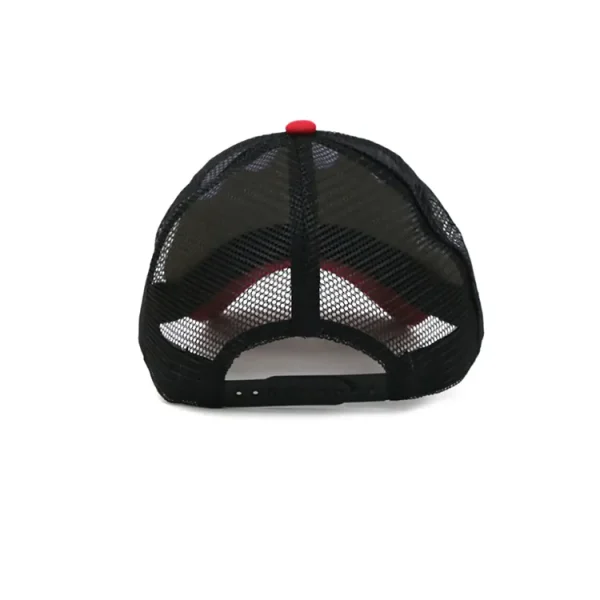 Gorra Alpine Skate 17002 - Imagen 3